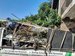 Best Residential Junk Removal  in Hamlin, TX